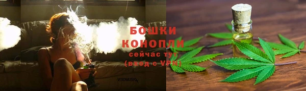 гидра Вязьма