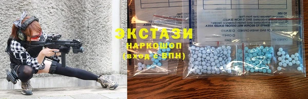 гидра Вязьма
