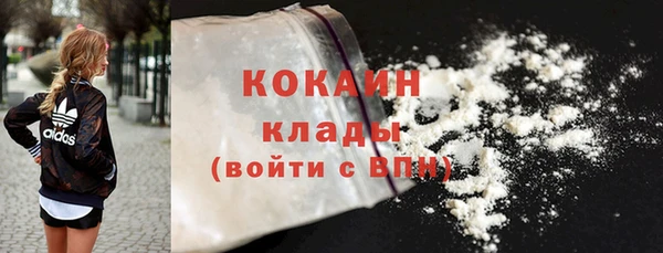 гидра Вязьма